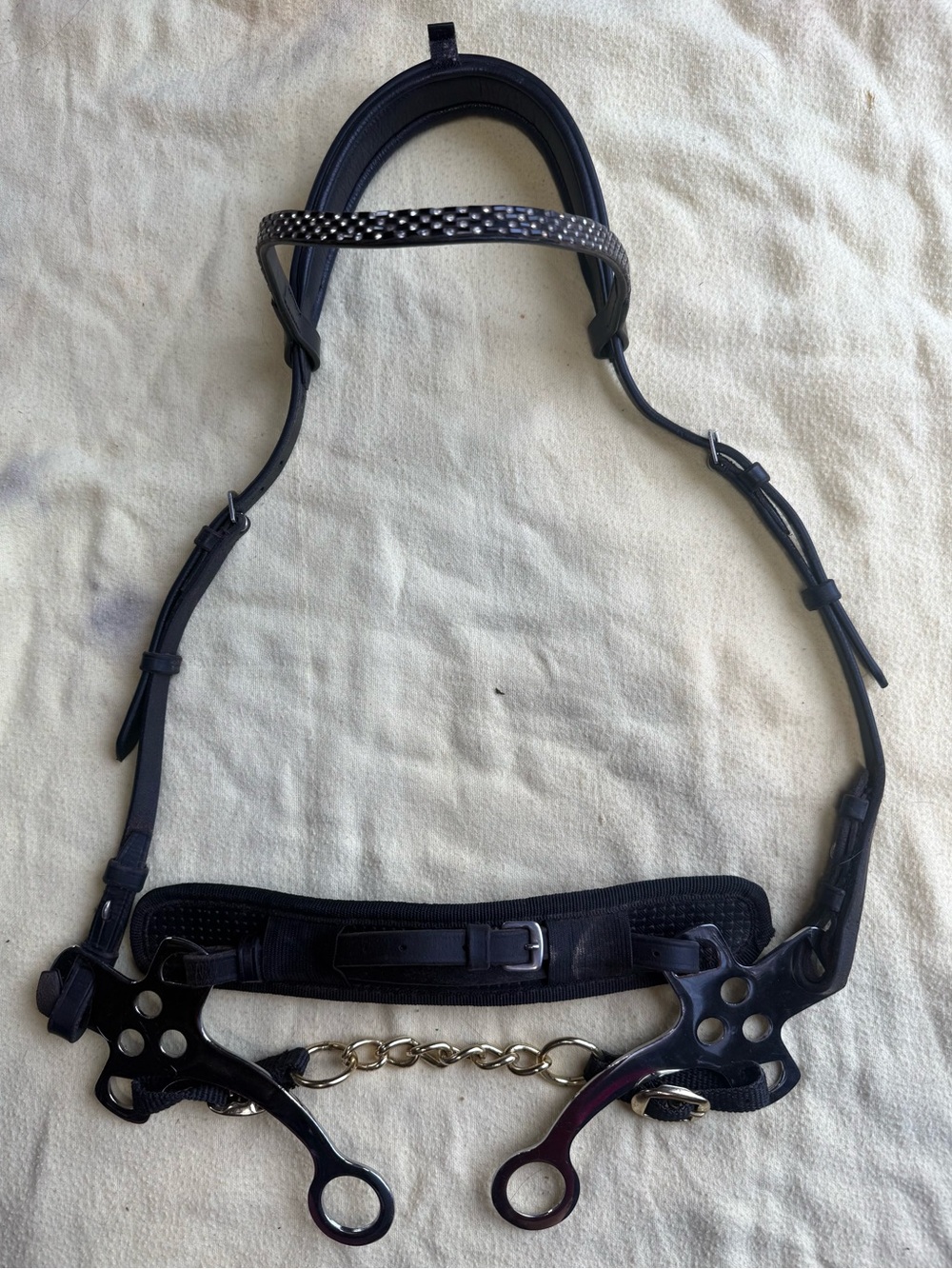 Black hackamore bridle